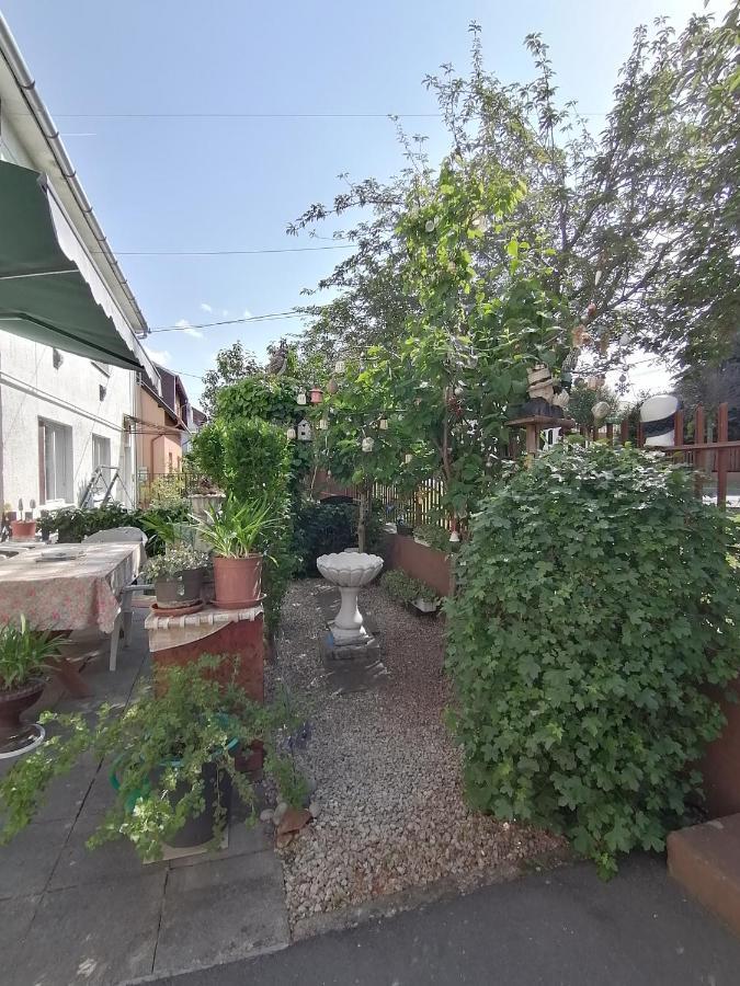 Ildiko Vendeghaz Heviz Apartment Exterior photo