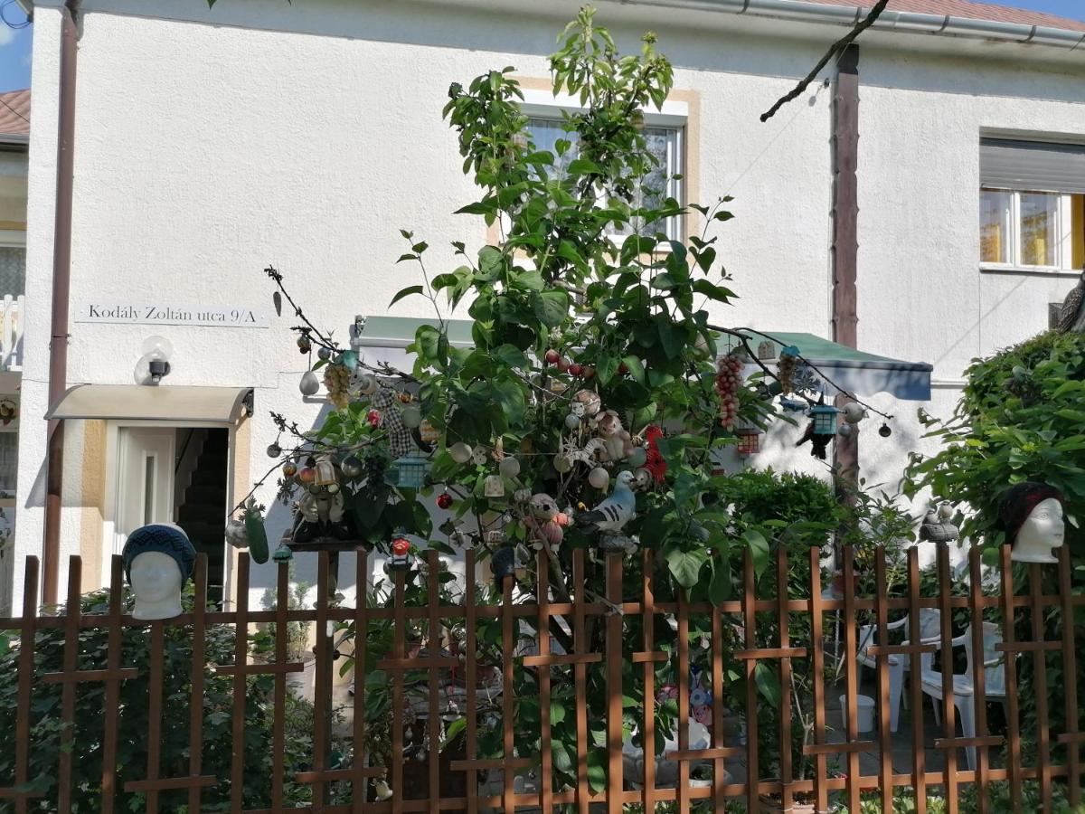 Ildiko Vendeghaz Heviz Apartment Exterior photo